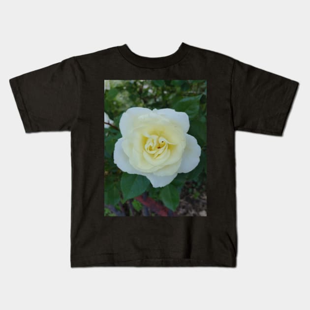 Yellow rose Kids T-Shirt by Drgnfly4free